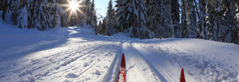 Skikurs